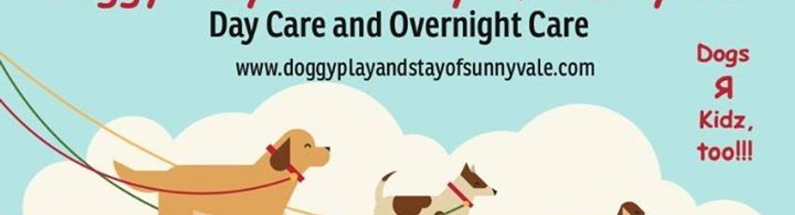 Doggy deals overnight care