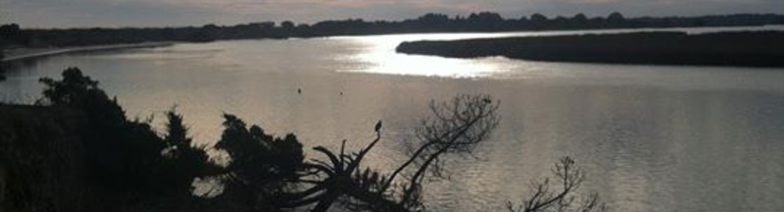 Independant Insurance Consultant, Johns Island SC