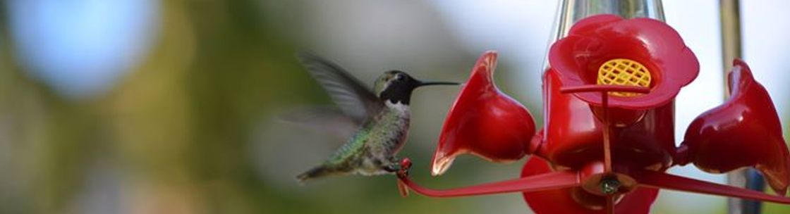 Connects Counseling, North Bend WA