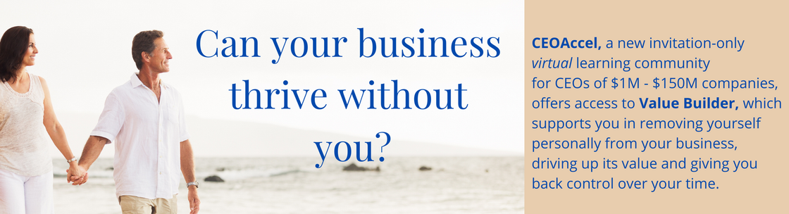 Christine Rose Coaching & Consulting/CEOAccel, Federal Way WA