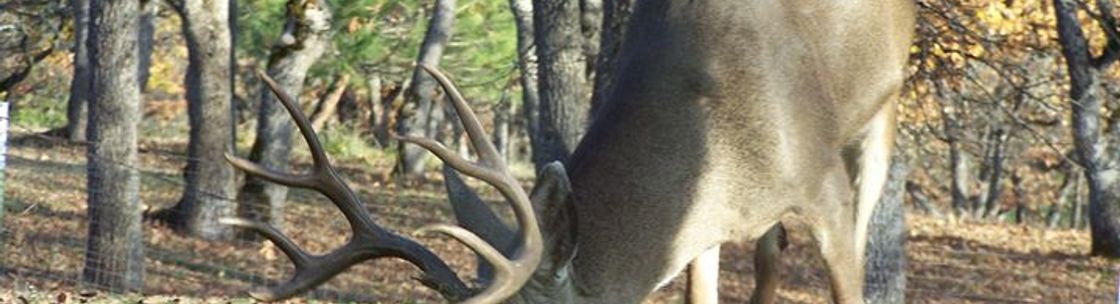 Wyatt's Outdoor, Inc., Medford OR