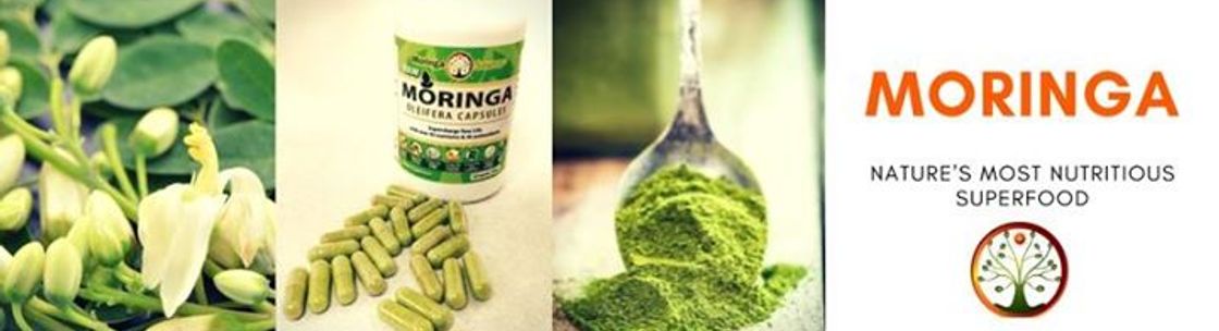 Moringa Source, Danbury CT