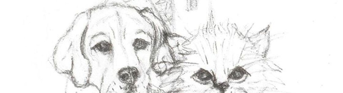 Walk N Wag LLC, Burlington NJ