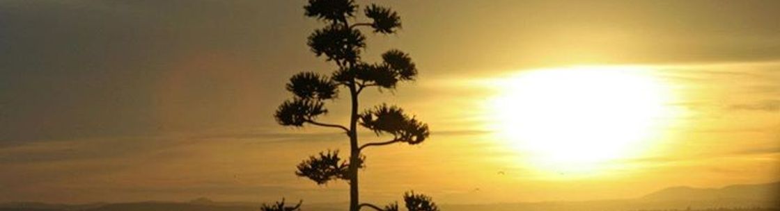 Vibrational Harmony Holistic Health, Montrose CA