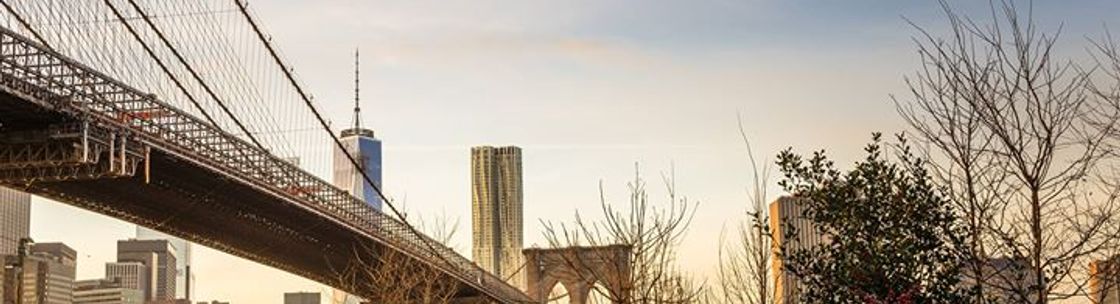 Sycamore Realty Group LLC, Brooklyn NY