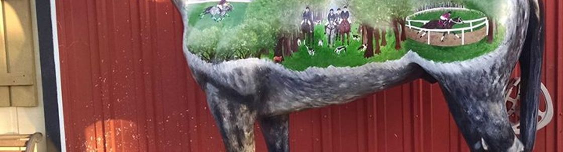 Aiken Saddlery Aiken Sc Alignable