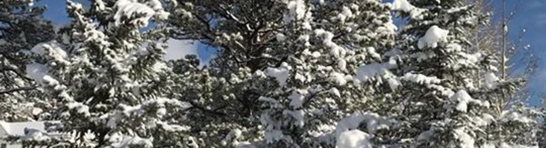 Rustic Mountain Charm, Estes Park CO