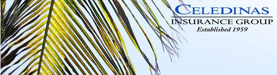 Celedinas Insurance Group Palm Beach Gardens, FL Alignable