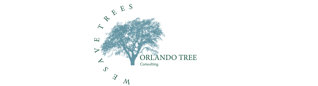 Orlando Tree Consulting, Orlando FL
