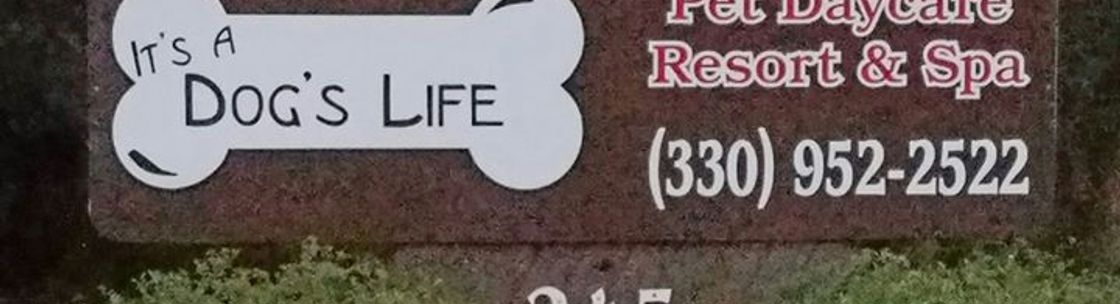 It's A Dog's Life Pet Daycare, LLC, Medina OH