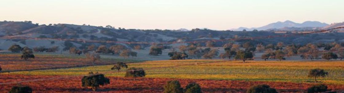 Gigi Hollister with Santa Ynez Valley Real Estate Company, Solvang CA