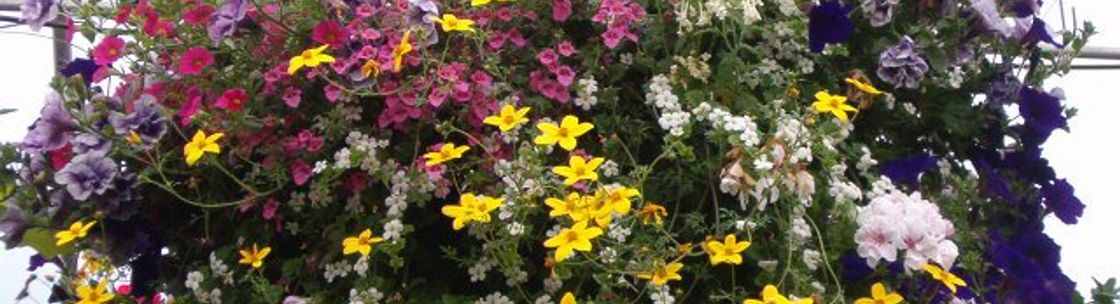 Stonepath Greenhouses and Landscaping, Tweed ON