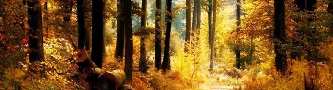 Erica Berman, Toronto ON