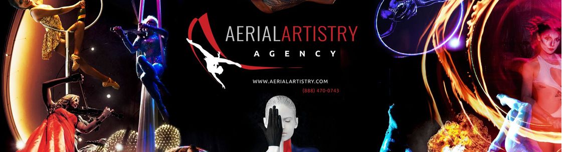 Aerial Artistry, New York NY