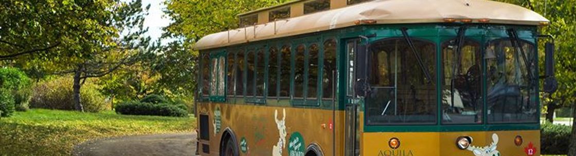 Aquila Tours - Bay of Fundy Shore Excursions, Saint John NB