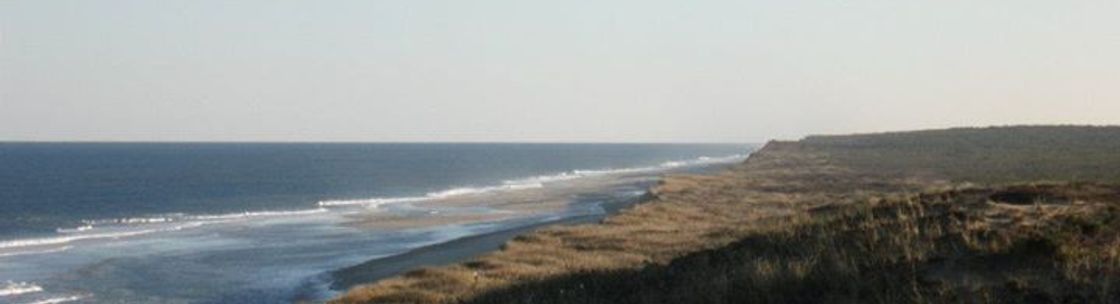 Sotheby's International Realty on Cape Cod, Falmouth MA