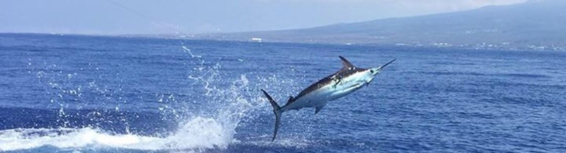 Bite Me Sport Fishing and Ocean Encounters, Kailua Kona HI