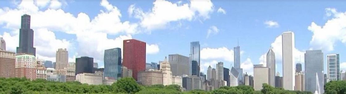 Zweidinger & Associates LTD, Des Plaines IL