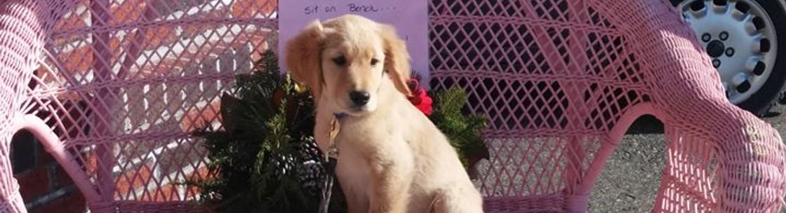 Divine Consign & Boutique, Lakeville MA