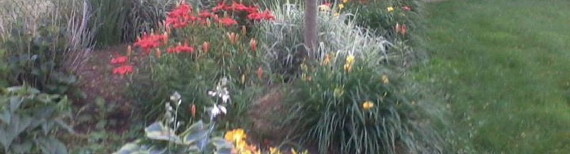 M B Landscaping And Gardening Services Pittsburgh Alignable