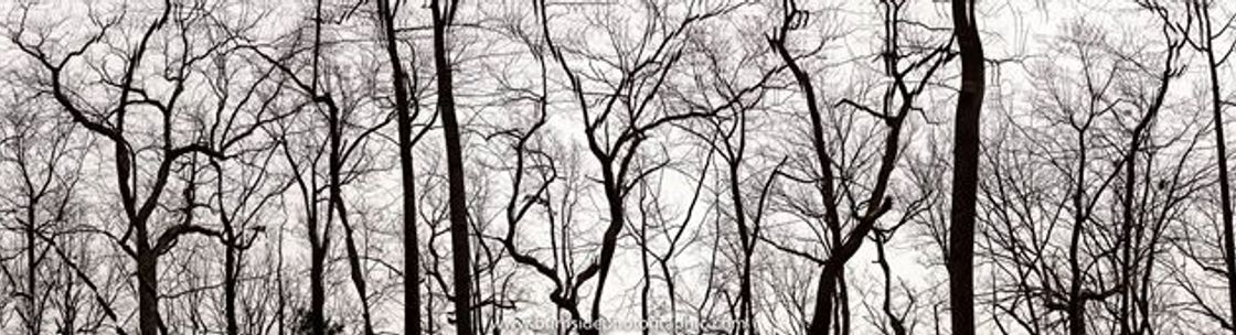 Burnside Photographic, Harveys Lake PA