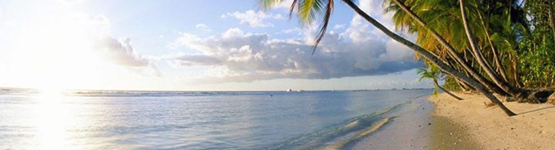 David Bruce Balanca, Montreal QC