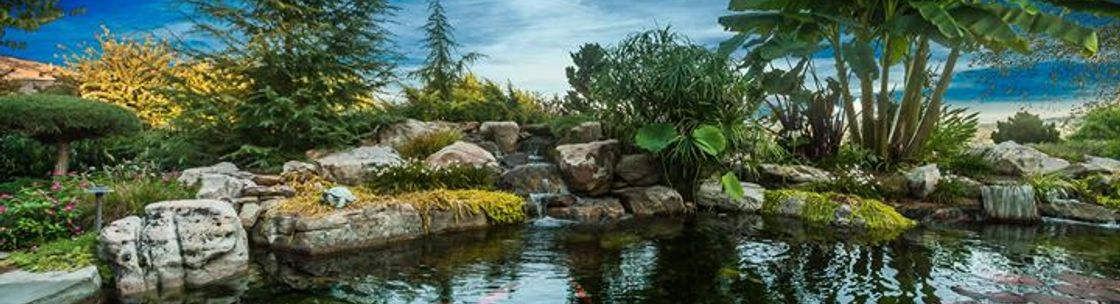 Modern Design Aquascaping, Friendsville TN