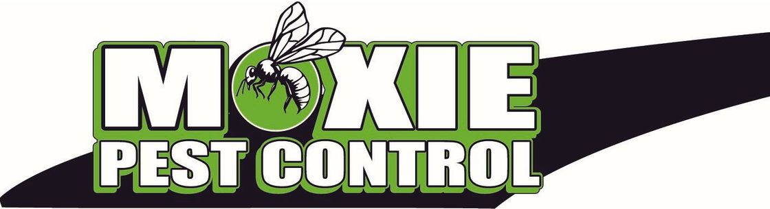 moxie-pest-control-kansas-city-grain-valley-mo-alignable