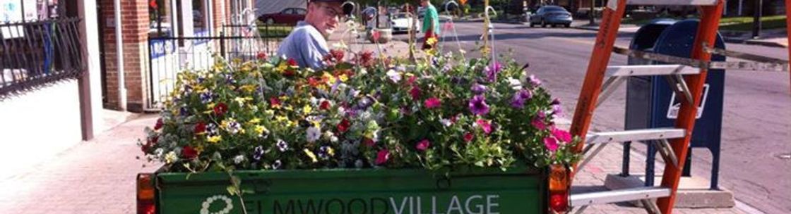 Elmwood Village, Buffalo NY