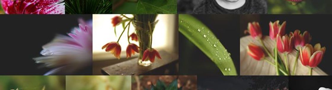 Alexander and The Kid Photography, Round Rock TX