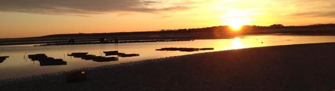 The Oyster Company Raw Bar and Grille, Dennis Port MA