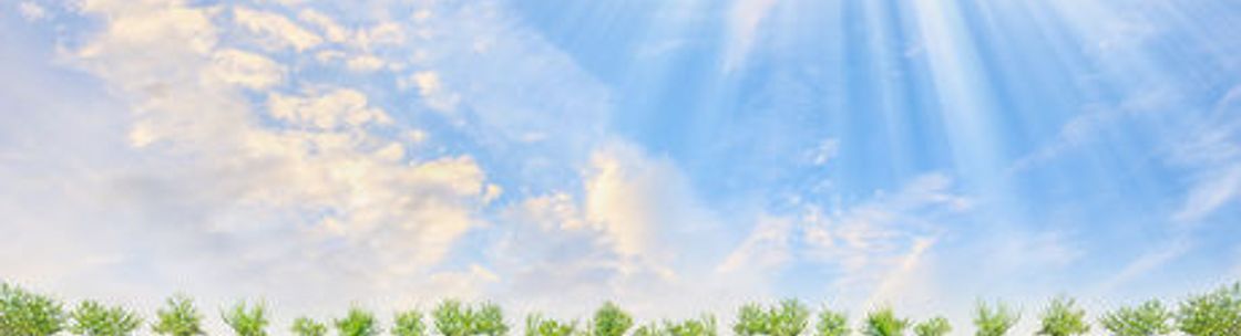 Savant Medical Billing, Vancouver WA