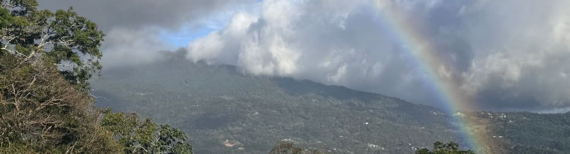 Northbay Media Network, Guerneville CA