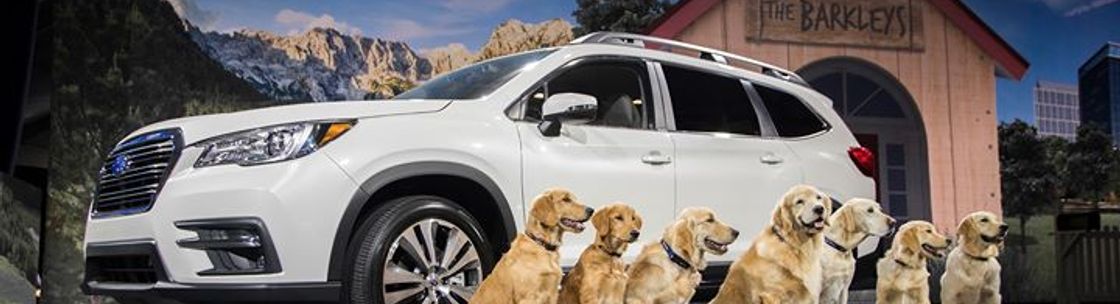 Johnstons Subaru, Middletown NY