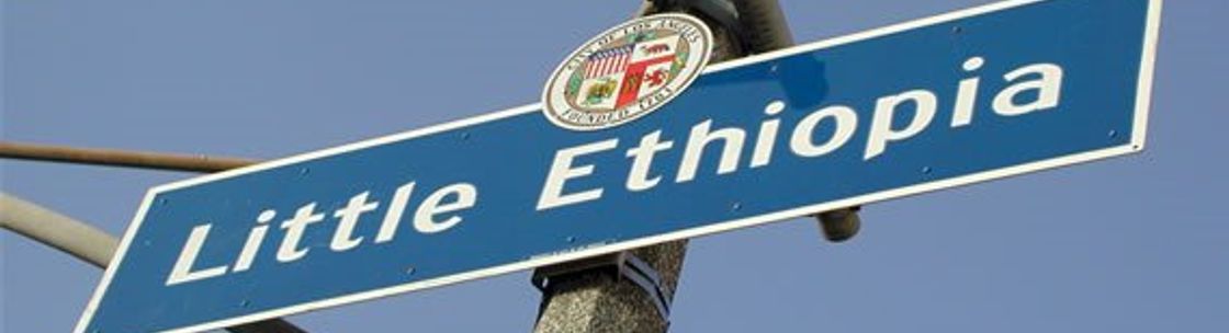 Little Ethiopian Restaurant, Los Angeles CA