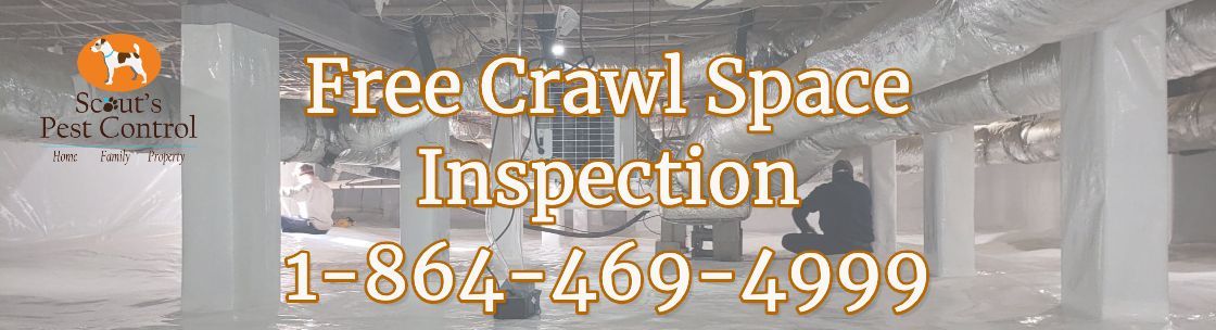 Scout's Pest Control #1, Greenville SC