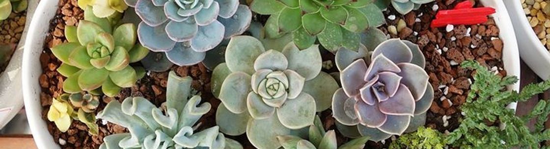 Heidi's Lifestyle Gardens, Corcoran MN