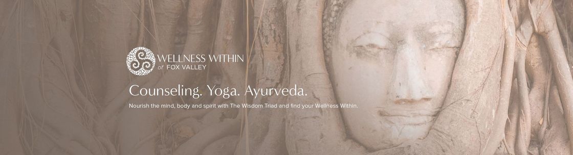 Wellness Within of Fox Valley, SAINT CHARLES IL