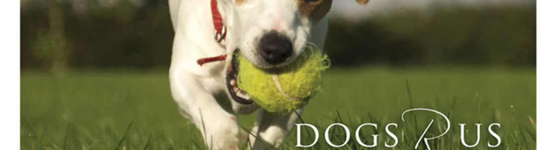 Dogs ~ R ~ Us Hotel - Odessa, FL - Alignable