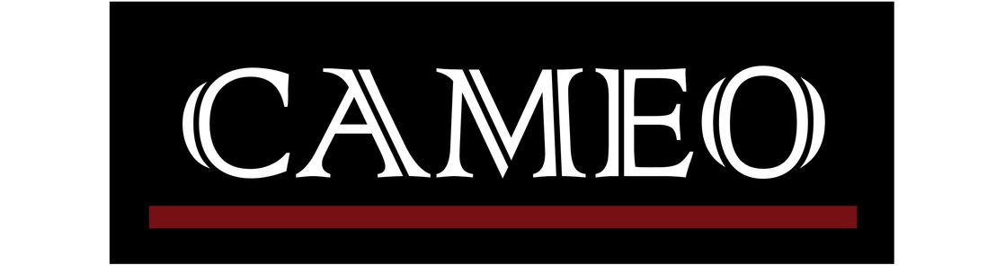 CAMEO Career & Corporate Consulting LLC, Jenison MI