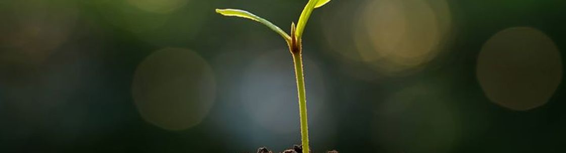 Law Office of Catherine Tucker PLLC, Meredith NH