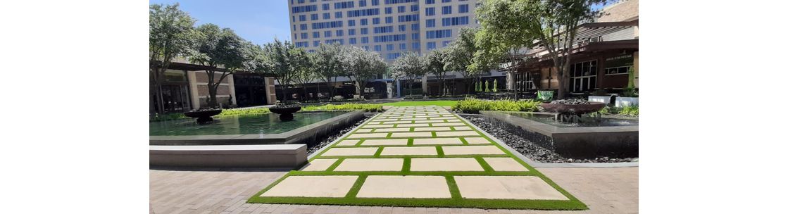 The Woodlands Grass, The Woodlands TX