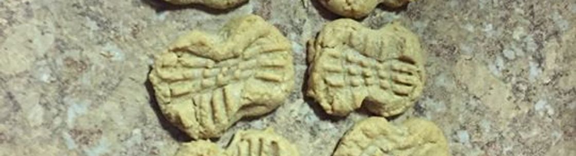A TOUCH OF CLASS BAKED GOODS, Nanticoke PA