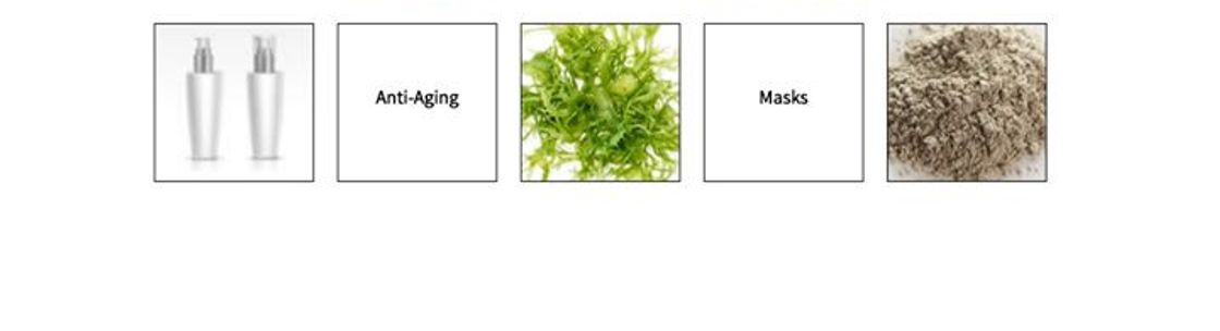 The Skin Care Source Inc., East Norriton PA