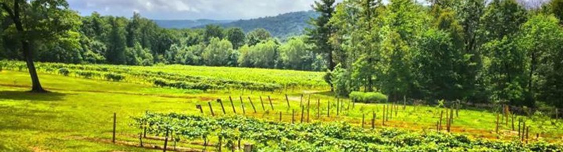 French Ridge Vineyards & WInery, Killbuck OH