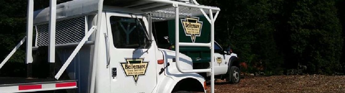 Bellemare Tree Service, Naugatuck CT