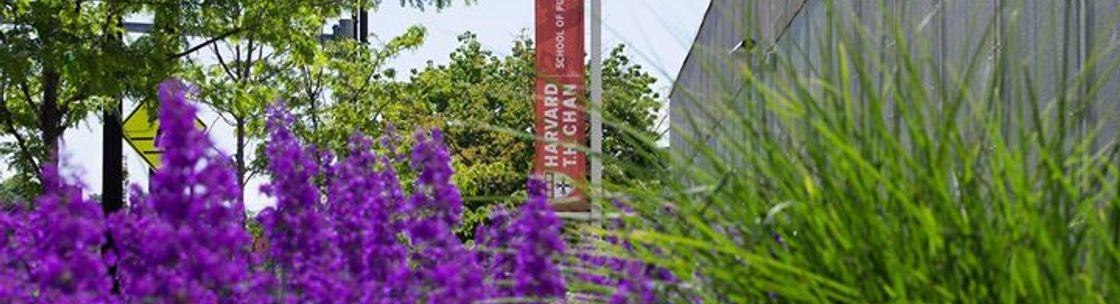 Harvard T H Chan School Of Public Health Boston Alignable