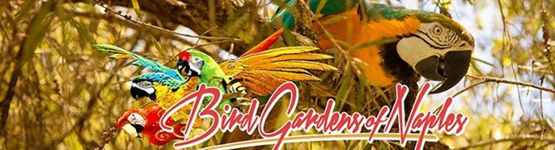 Bird Gardens Of Naples Naples Fl Alignable