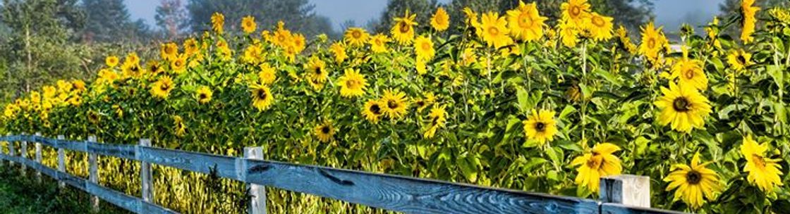 Keystone Insurance Group, Inc Boca Raton, FL Alignable