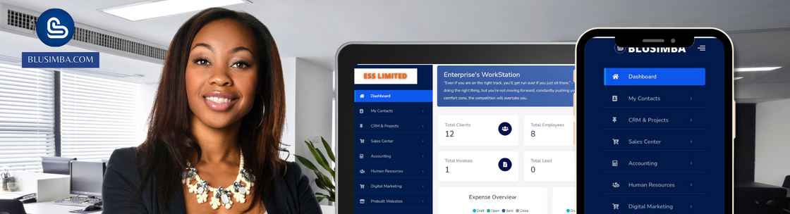 BLUSIMBA.COM, Silver Spring MD